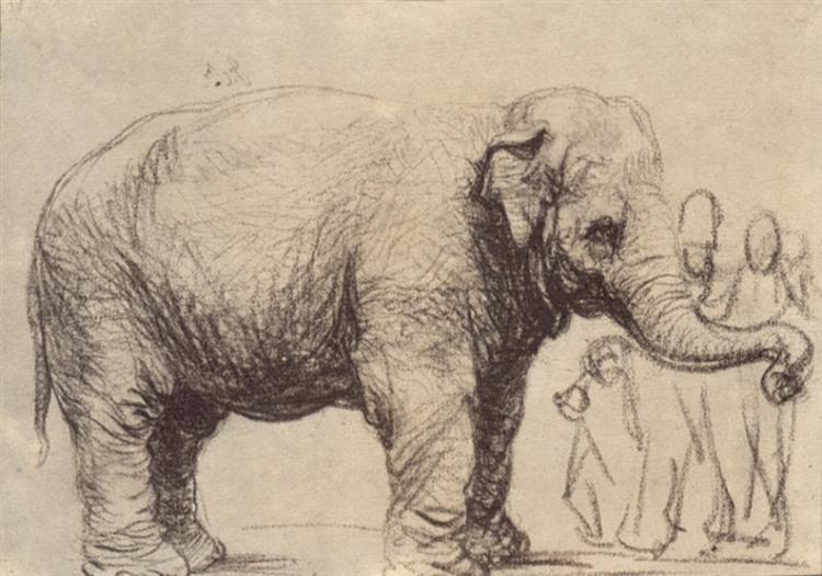 Rembrandt. An elephant. 1637.